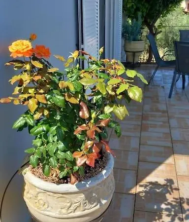 Amazing View In Anthidona 別荘 Loukísia